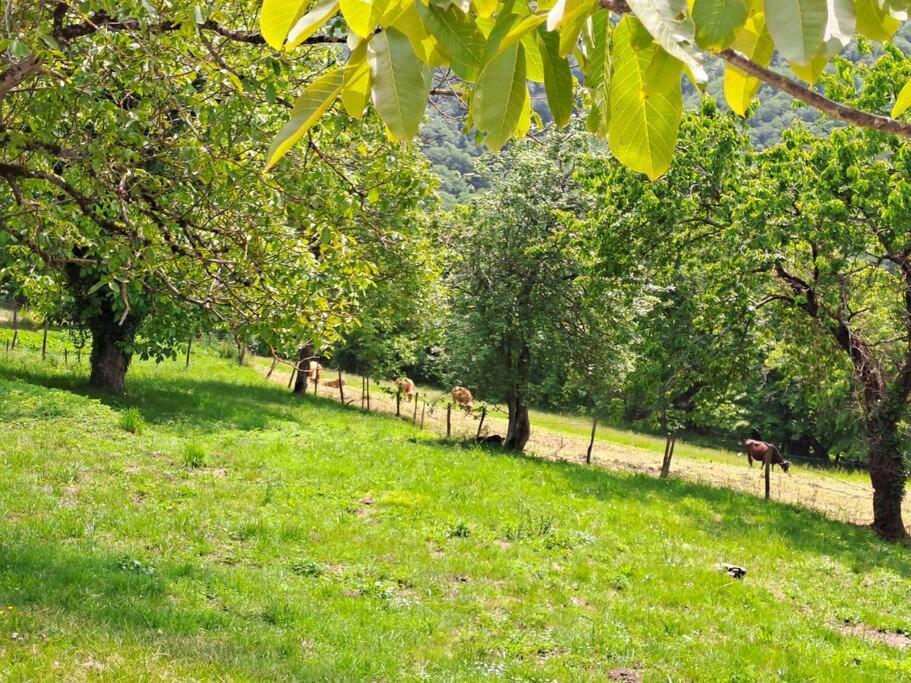 Hébergement de vacances Maison Landes - 4 Personnes *